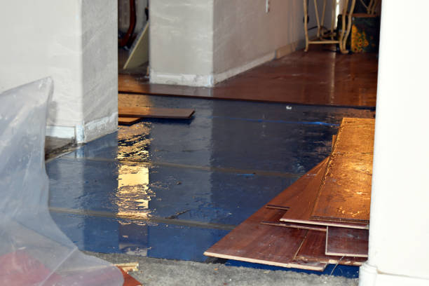 Professional Basement Flood Cleanup technician working in Cairo, NE